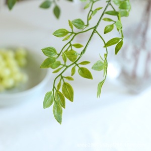 Planta Artificial de Rama Única de Nandina Domestica Simulada, Decoración de Escritorio para el Hogar y Accesorios de Fotografía, Qingyu Chronicle - Product Image 4