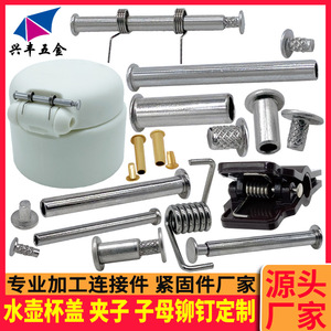 Rivets en acier inoxydable, acier au carbone, aluminium, nickel, zinc, chromés, diamètre 2,0-6,5 mm, longueur 3,0-80 mm, personnalisables - Product Image 3