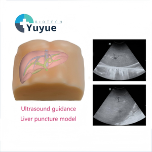 Manichino per Addestramento ad Ultrasuoni per Puntura Epatica con Fegato, Vescica Biliare e Vena Cava Inferiore per l'Apprendimento delle Abilità Interventistiche - Product Image 1