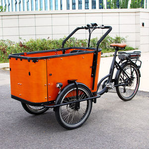 Tricycle cargo à pédales, vélo électrique de ville, pas cher, Holland, siège adulte et enfant, vélo cargo électrique à 3 roues, vélo cargo électrique, vélo électrique avec <span class=keywords><strong>housse</strong></span> de pluie - Product Image 2