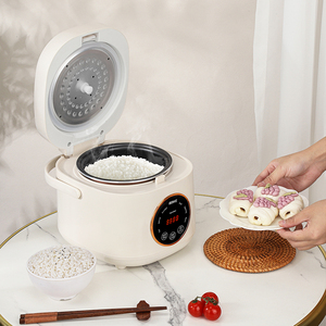 Vente directe usine – Cuiseur à riz intelligent multifonctionnel automatique 350W avec écran LED numérique et tasse doseuse en plastique - Product Image 3