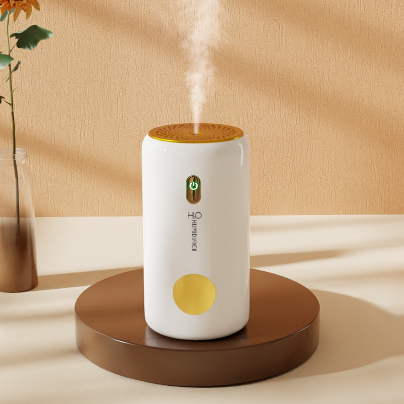 Hot Sale Portable 220ml Smart Mist