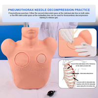 Simulador de Entrenamiento para Neumotórax BIX-LQ7, Modelo de Descompresión Torácica, Maniquí de Entrenamiento Médico para Neumotórax por Tensión