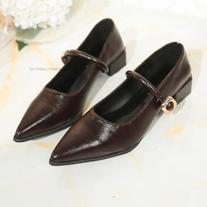 Autumn Pointed Toe Low-Heeled Flats Retro New Style Thick Heel Shallow Mouth Large Size Professional Flats for Women - Product Image 2