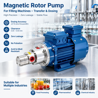 Pompe à rotor de dosage haute précision, pompe à lobes rotative sanitaire 316L, pompe à rotor magnétique