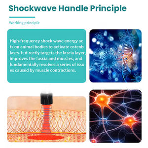 Dispositivo di terapia a onde d'urto per messa a fuoco portatile attrezzatura avanzata per cliniche di fisioterapia veterinaria - Product Image 3