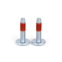 Vis à tête cylindrique Torx T10 en acier inoxydable M2 M3 M4 M5 M6 M8, avec patch en nylon anti-déchirure à filetage rouge, vente directe usine sur mesure