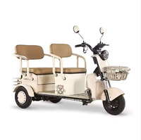 Triciclo Eléctrico de Carga de Alta Calidad, Scooter Eléctrico de 3 Ruedas y 600W, Popular en Venta