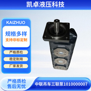 ปั๊มน้ำมันไฮดรอลิกแรงดันสูง Zoomlion Crane Triple Pump 1010000007 สำหรับอุปกรณ์ไฮดรอลิก - Product Image 5