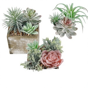 Lot de 3 fausses plantes succulentes Der Rose dans des pots en bois pour la décoration intérieure de bureau ou de ferme - Product Image 4