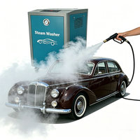 Machine à laver les voitures à vapeur anti-rayures pour peintures délicates et detailing automobile haut de gamme, en acier inoxydable, 220V/380V, certifiée CE