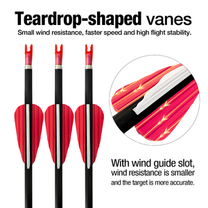 Nhà Máy Bán buôn <span class=keywords><strong>recurve</strong></span> cung Tương thích 100% sợi <span class=keywords><strong>carbon</strong></span> săn bắn mũi tên với không gỉ lời khuyên cho chụp bắn cung - Product Image 2