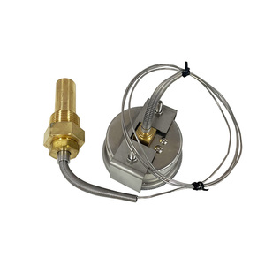 Oem 63 מ "מ מד טמפרטורה בגודל מותאם אישית, אורך צינור נימי גמיש, אפשרויות גזע שונות - Product Image 5