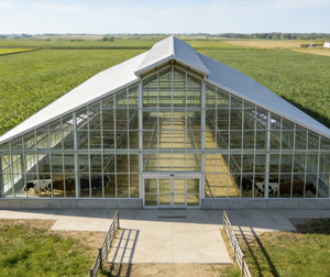 Prix d'usine, structure légère préfabriquée en acier au carbone ASTM A36, construction, soudage, découpe, entrepôt, atelier, hangar, hangar - Product Image 4