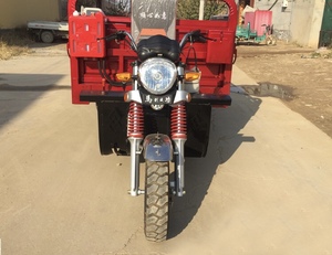 <span class=keywords><strong>Triciclo</strong></span> de Carga Loge Personalizado, Económico, de 3 Ruedas, con Volquete, Motor de 350cc Refrigerado por Aire, para Adultos - Product Image 6