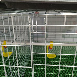 <span class=keywords><strong>Cage</strong></span> de batterie de ferme légère à 3/4 couches <span class=keywords><strong>Cage</strong></span> de poulet de chair commerciale <span class=keywords><strong>Cage</strong></span> de poulet de chair à densité plus élevée Nigéria - Product Image 6