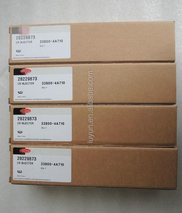 common rail injector 28229873 33800 4A710 for Hyundai H1 / Starex kia Bongo D4CB, CRDi injector nozzle 28229873 33800 4A710