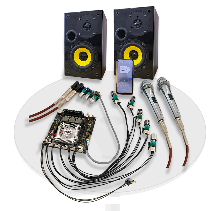 WUZHI Audio ZK-DAM L1 Karaoke Amplifier 2.1 Channel BT Amplifier