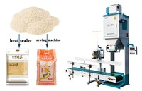 Machine d'ensachage Ewinall DCS-100FA1 50-100 kg pour riz, blé et céréales avec trois capteurs, studio fermé et convoyeur à levage automatique
