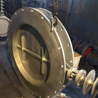 Katup Kupu-kupu Double Offset Model Lug Berkualitas Terjamin, Bodi Baja Tahan Karat 316 dengan Lapisan PTFE