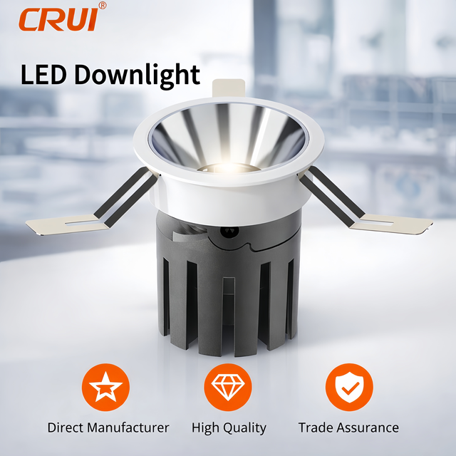 Commercial  12W Smart Recessed Ceiling Downlight Die-cast Aluminum Housing Ceiling Downlight for Hotel Office Project