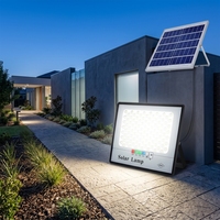 Lampe solaire murale en forme de fleur, lampe photovoltaïque LED étanche pour l'éclairage de jardin, allée et cour
