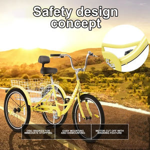 Vélo Cruiser à <span class=keywords><strong>Trois</strong></span> <span class=keywords><strong>Roues</strong></span> pour <span class=keywords><strong>Adultes</strong></span> Lewee, Cadre en Acier Carbone de 24 Pouces, Corps Fermé, Utilisation Cargo - Product Image 3