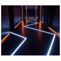 Bande EL haute luminosité pour rampes d'escalier et bordures de marches dans les bars, les KTV et les discothèques. Lumière douce qui guide les yeux, rehausse l'ambiance.