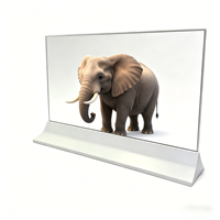 Schermo Pubblicitario OLED Trasparente 55" Touchscreen 120Hz con Grafica Animata, Supporto SDK OEM, Garanzia 1 Anno, per Uso Commerciale e Retail