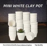 Pot Terakota Art Deco 24 Buah 3,15 Inci dengan Lubang Drainase Mini, Kit Indoor/Outdoor untuk Tanaman Kaktus, Bunga, dan Sukulen