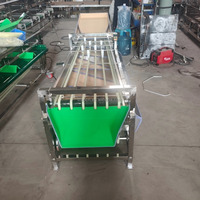 Hoge Efficiëntie Rode Dadels Sorteermachine 304 RVS Fruit Sorteermachine Passievrucht Sorteermachine