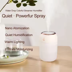Portable LED Light 300ml <strong>Mini</strong> Ultrasonic Humidifier with Wet D Aroma Essential Oil <strong>Diffuser</strong> USB Car Air Humidifier Household Use - Product Image 4