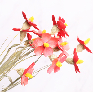Ogni amore all'ingrosso 12 steli Per mazzo Matthiola Incana bellissimo Bouquet di <span class=keywords><strong>violette</strong></span> essiccate - Product Image 2