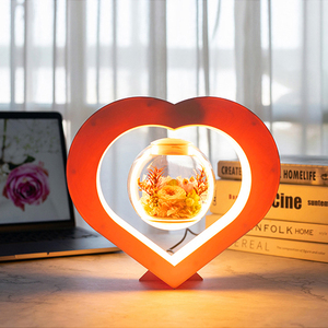 تعزيز الديكور هدية عيد الميلاد مصنع الرفع حامل زهرة وعاء المغناطيسي العائمة المحفوظة زهور طازجة بونساي شجرة - Product Image 2