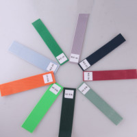 Ruban en maille mini-pit en polyester 100% haute ténacité, brodé, coloré, écologique Gacent, 38 mm, pour sac à dos