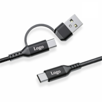 Câble USB-A/C vers C 2-en-1 en nylon tressé avec logo personnalisé, charge rapide 3A pour ordinateur et écouteurs