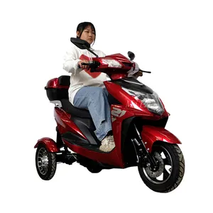 3 Wheeler Moped 3 Wheeler Bicycle 3wheeler Bicycle for Adults Electric Ce Customized 60V 14 Inch Scooter 3 Wheels Electric