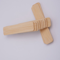 Bâtonnets de glace en bambou naturel de qualité alimentaire, écologiques, portables, petits, pour glaces maison