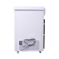 Congélateur compact portable à porte unique, sans givre, à température unique, économe en énergie, pour hôtels et salons de thé
