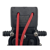 12 volts 3.8LPM RV petit moteur pompe à eau auto-amorçante pompes à eau électriques à membrane pour caravane