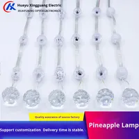 Lampe Ananas 3D en gros Éclairage décoratif de paysage extérieur étanche pour les lieux d'enregistrement de célébrités sur Internet