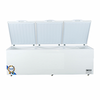 Congélateur coffre triple porte grande capacité 978L gris titane, congélateur mécanique à température unique pour usage commercial