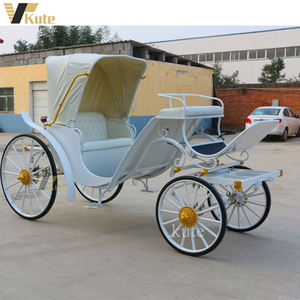 Chariot électrique à prix d'usine / Calèche de tourisme / Calèche à chevaux à vendre - Product Image 2