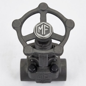 Vanne à opercule manuelle en acier au carbone forgé de 4 pouces, classe 800, à tige montante OS et Y, raccord NPT BSPP, à souder - Product Image 3