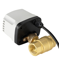 Vanne à boisseau sphérique électrique 2 voies 1 pouce en laiton, normalement ouverte/fermée, certifiée CE, étanche IP65 |   Débit de 20 L/min, joint d'étanchéité en PTFE