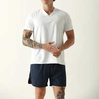 T-shirt basique personnalisé en gros à col en V et manches courtes pour homme, coupe ajustée décontractée, couleur unie, en coton à séchage rapide, idéal pour le sport et le streetwear