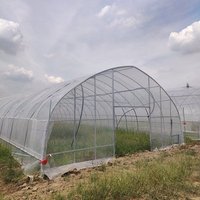 Grande serre tunnel agricole pour légumes avec structure métallique et aluminium, système de contrôle intelligent