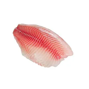 New Seafood Product Frozen Fresh Tilapia Fillet On Sale