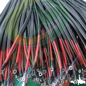 สายชาร์จ cnch 2 AWG 4 AWG อินเวอร์เตอร์สำหรับงานหนัก - Product Image 1