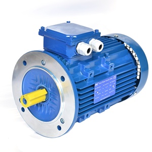 มอเตอร์เหนี่ยวนำไฟฟ้ากระแสสลับแบบไร้แปรงถ่าน Hongma Y200L-8 15KW 20HP 380V 7500RPM สามเฟส IP55 โครงเหล็กหล่อ 50/60Hz - Product Image 3